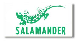  Salamander